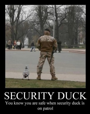 security_duck.jpg