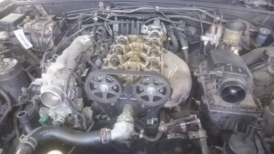 DSC_1355.jpg