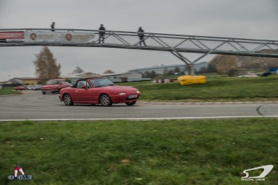 IMGP9323.jpg