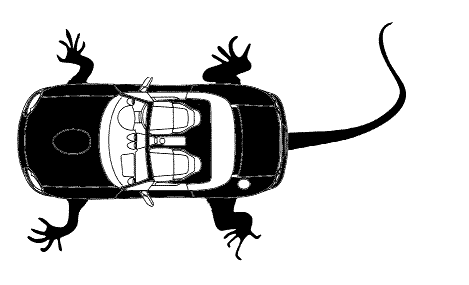 mazda_mx5_lizardNB.GIF