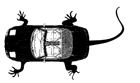 mazda_mx5_lizardNA.GIF