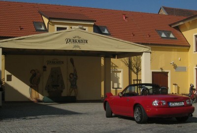 fot2.jpg