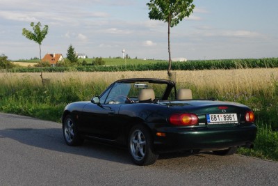 IMGP8603.JPG