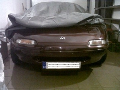 IMG00202-20121013-1931.jpg