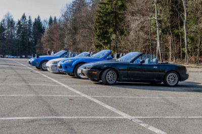 DSC_0266.jpg