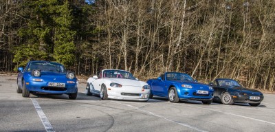 DSC_0264.jpg