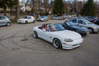 DSC_0238.jpg