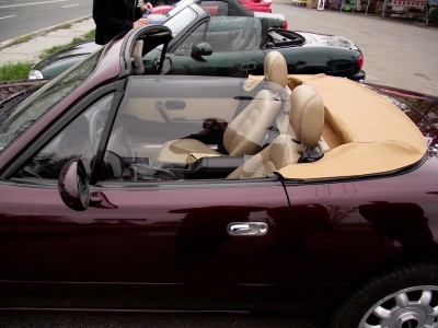 DSCF1292.JPG