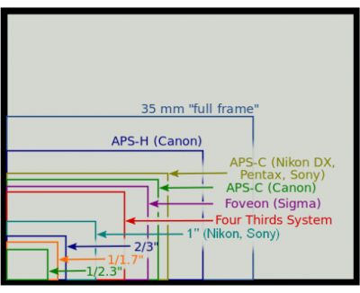 517px-Sensor_sizes_overlaid_inside.svg.png